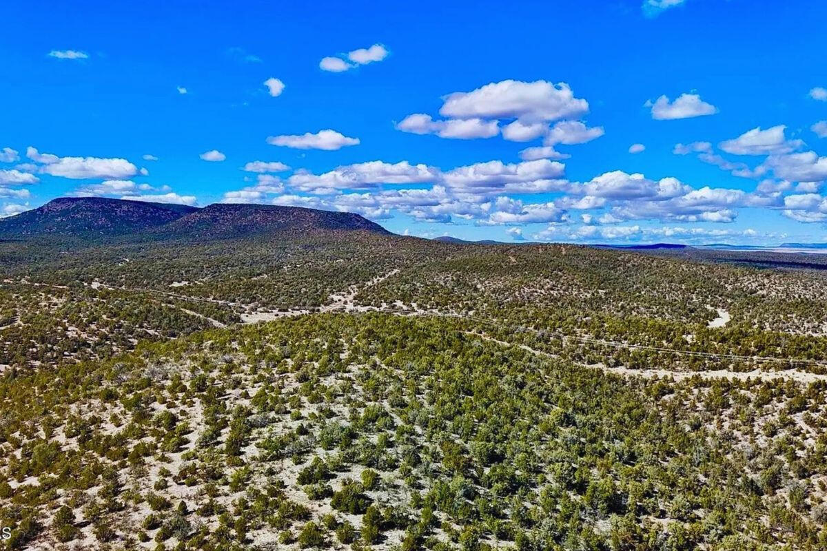 Corner Triangle - N CONQUISTADOR Pkwy, Seligman, AZ