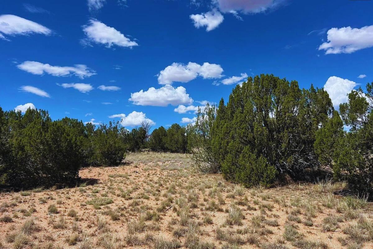 Corner Triangle - N CONQUISTADOR Pkwy, Seligman, AZ