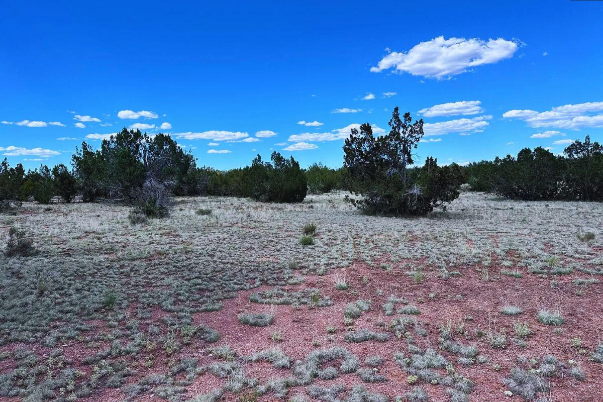 Corner Triangle - N CONQUISTADOR Pkwy, Seligman, AZ