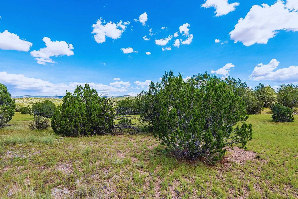Corner Triangle - N CONQUISTADOR Pkwy, Seligman, AZ